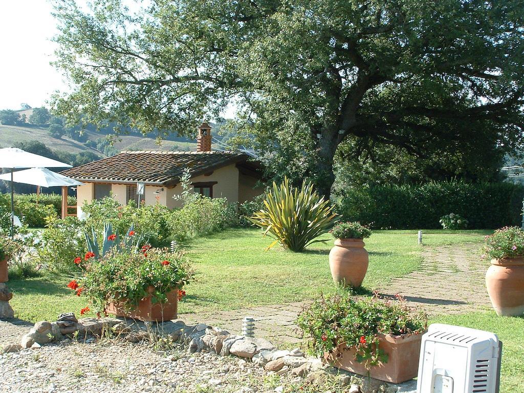 Podere Fingardella Vendégház Paganico Kültér fotó
